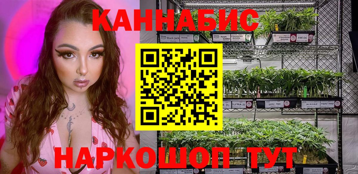 Бошки Шишки планчик Усть-Илимск